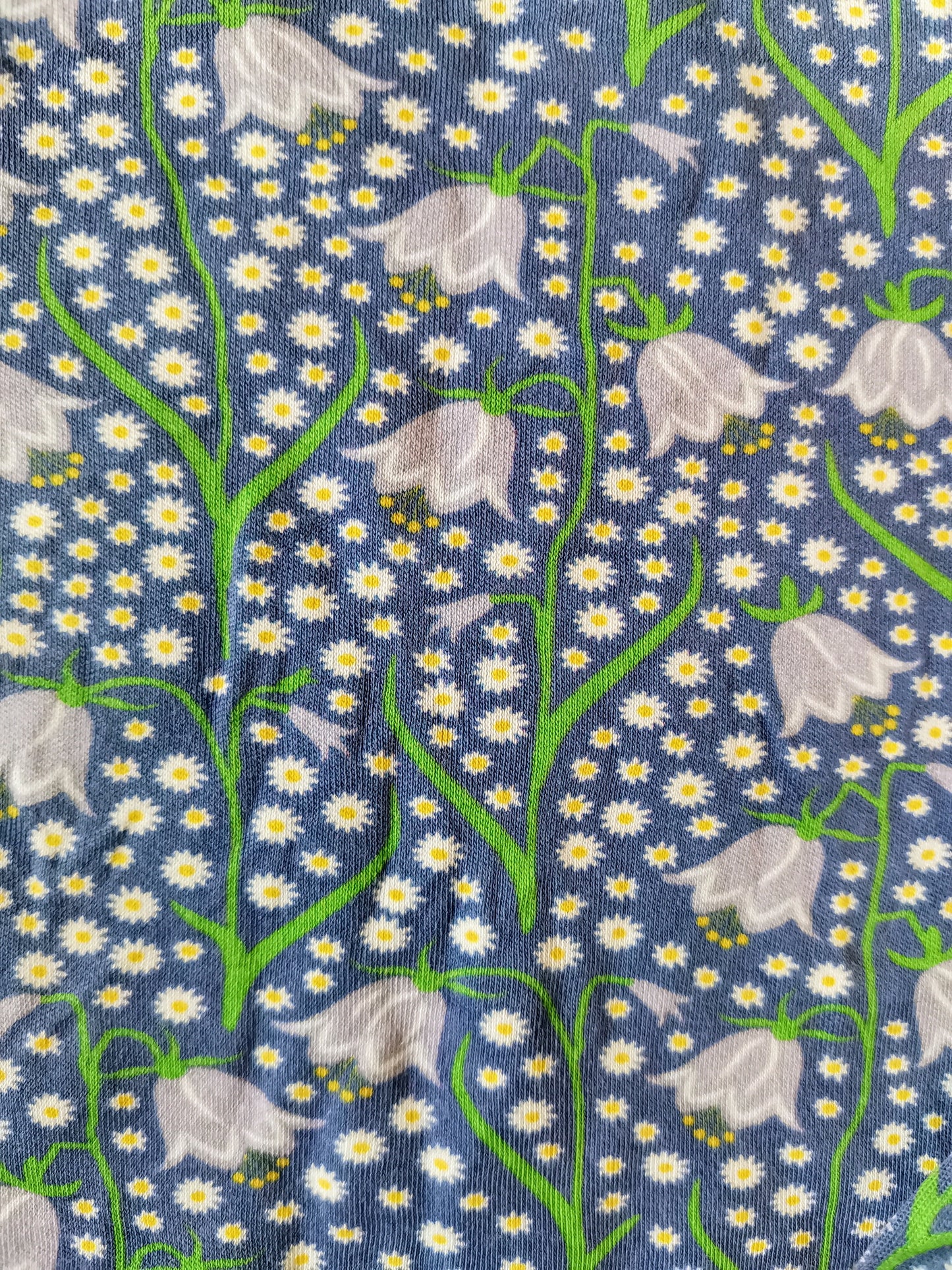 Duns Top - Bluebells (3-4yrs)
