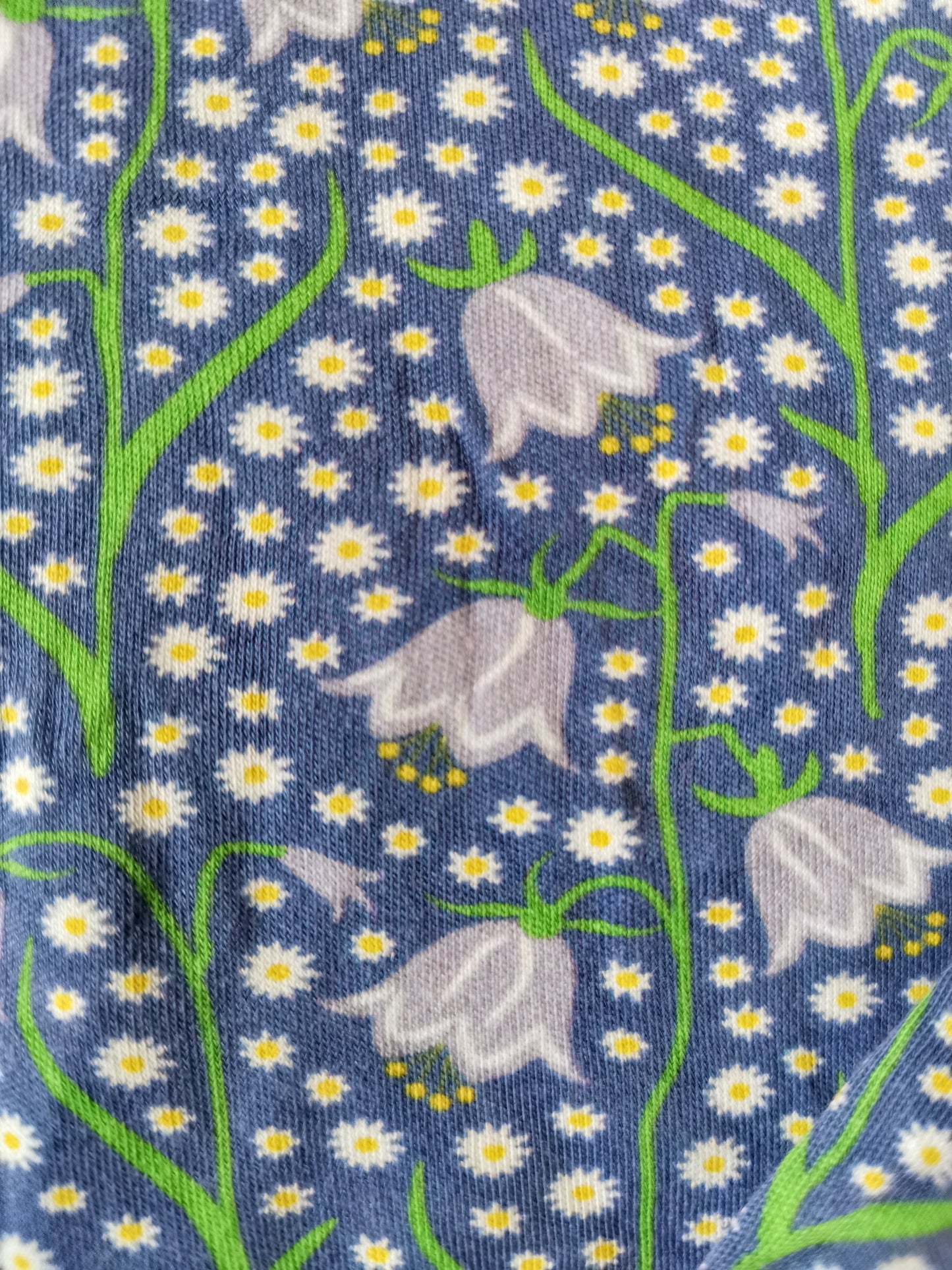 Duns Top - Bluebells (3-4yrs)