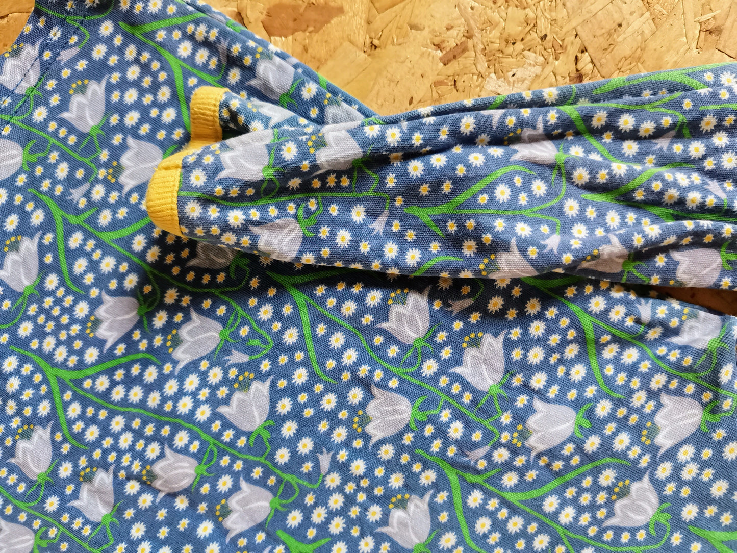 Duns Top - Bluebells (3-4yrs)