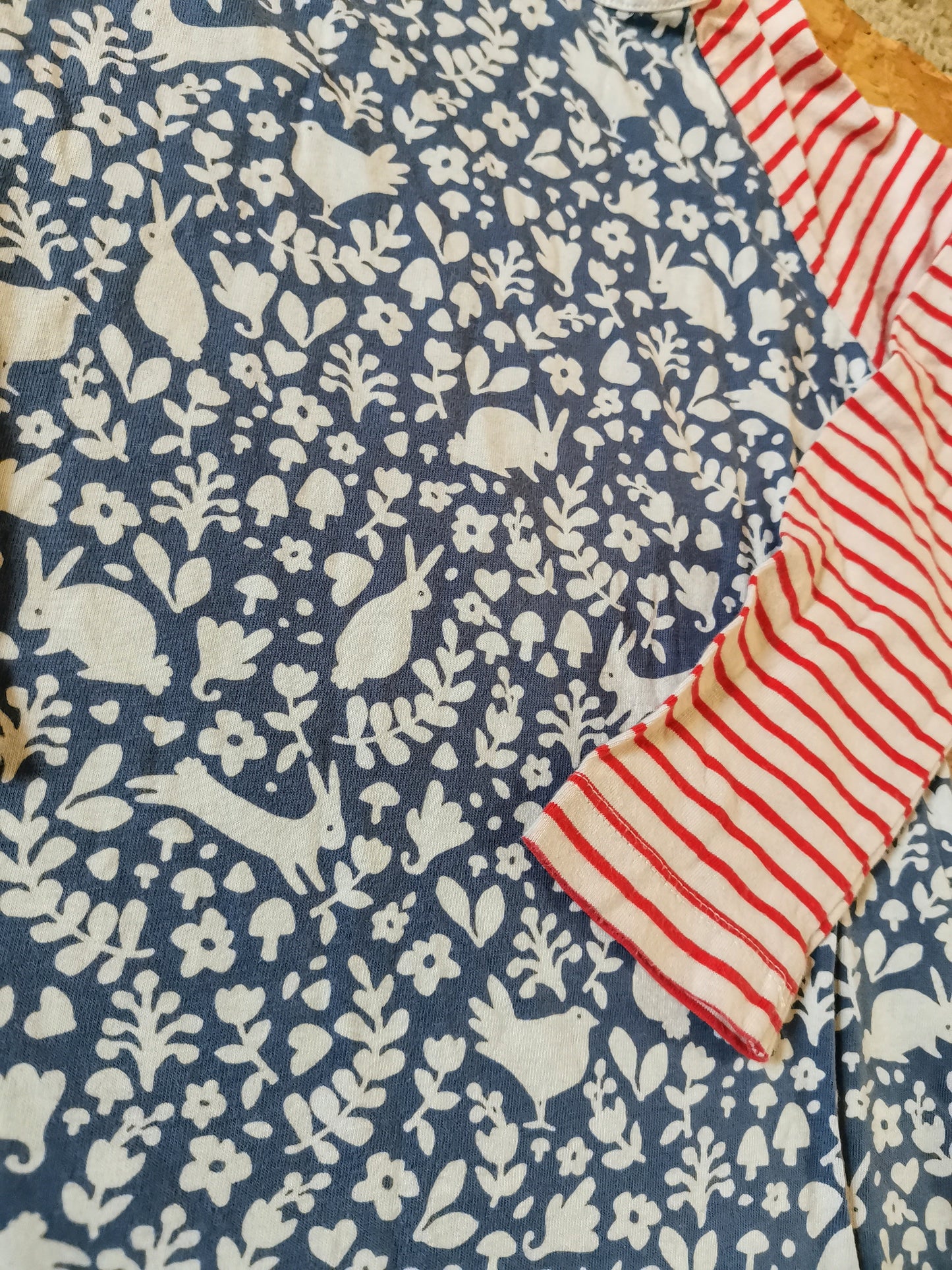 Boden Dress - Spring (4-5yrs)