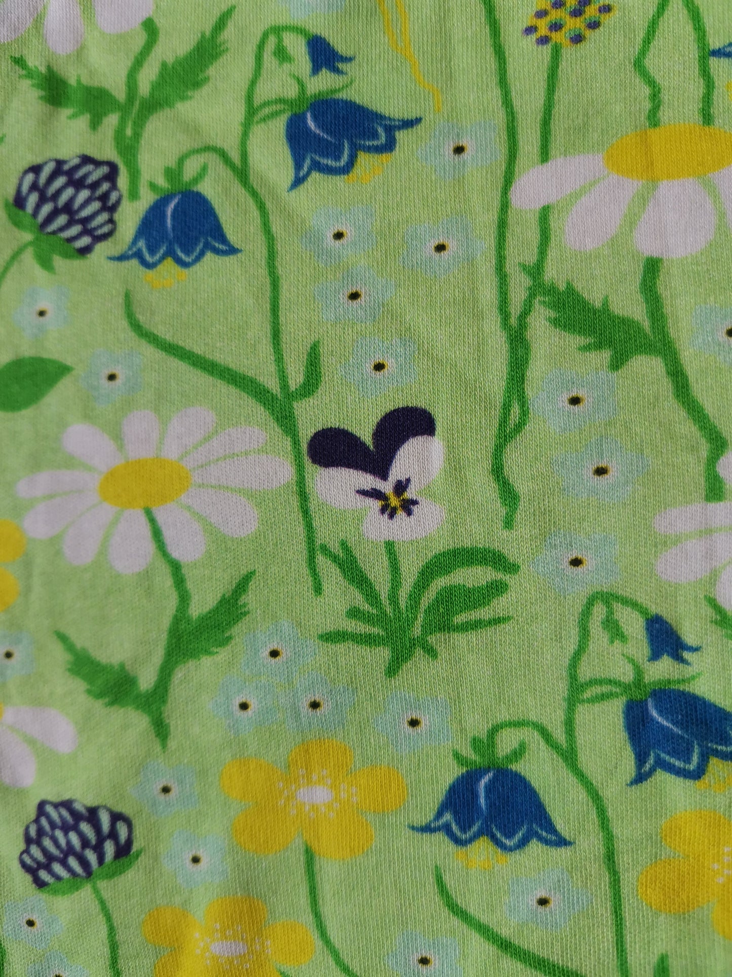 Duns Top - Green Meadow (3-4yrs)